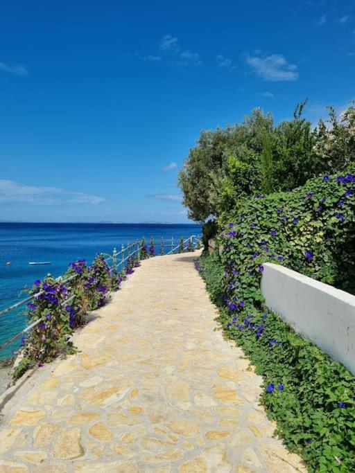 Serenity Primosten apartment