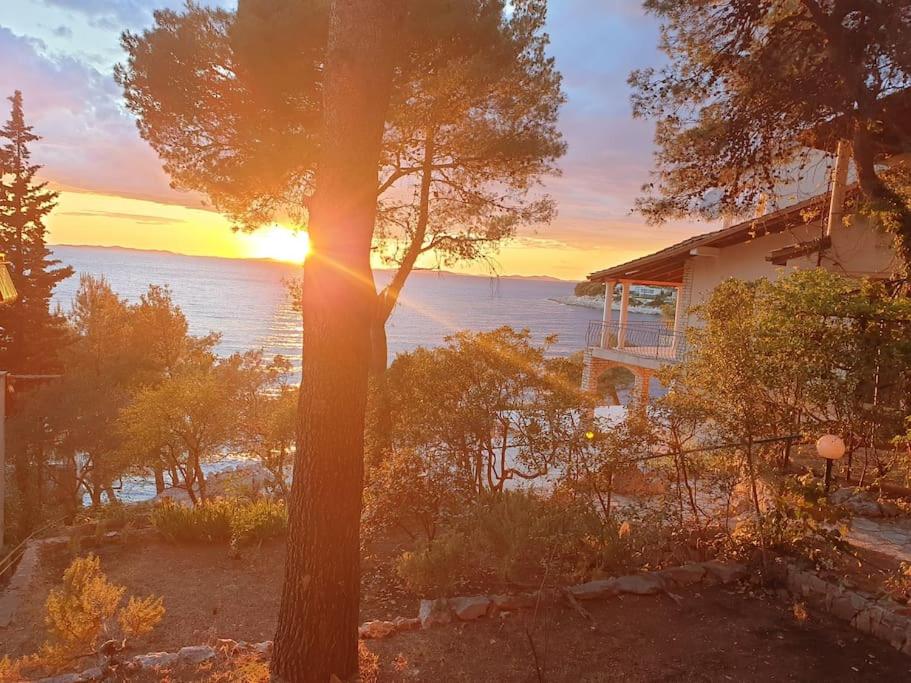 Serenity Primosten apartment