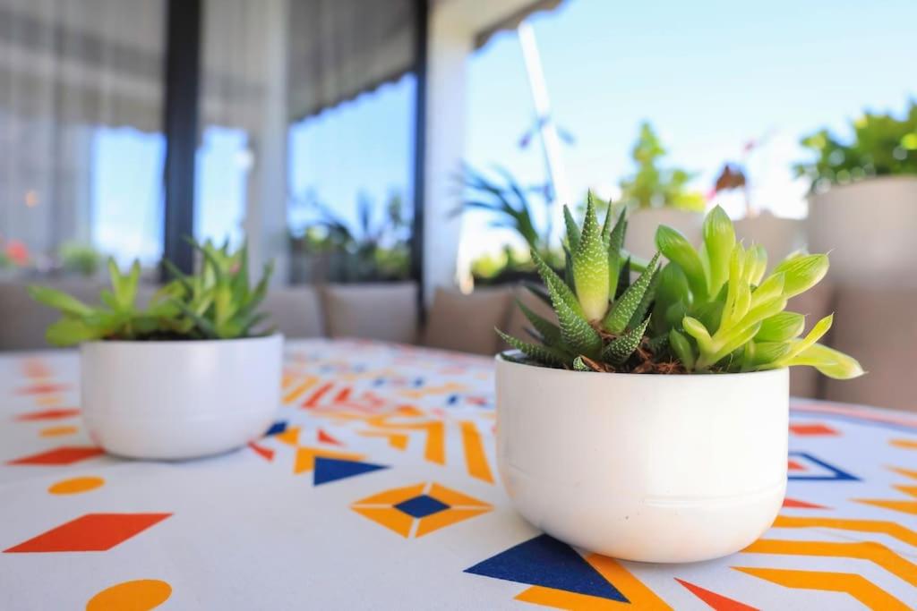 Colorful Oasis with Sunny Balcony