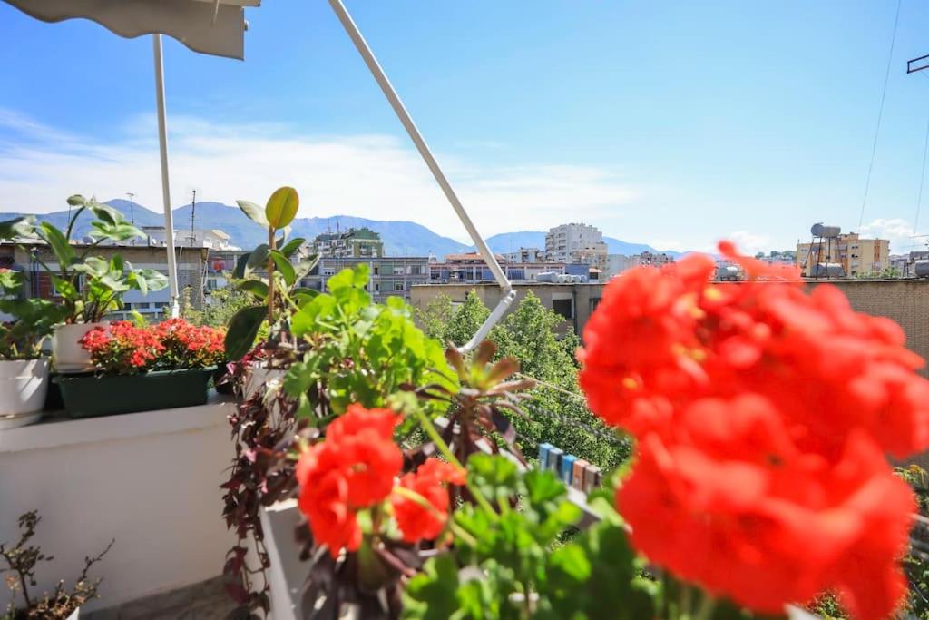 Colorful Oasis with Sunny Balcony