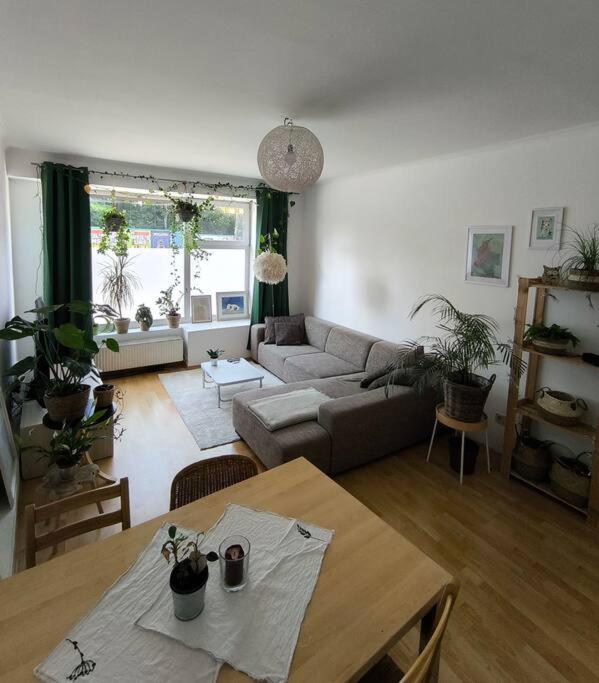 Bright flat next to Schönbrunn