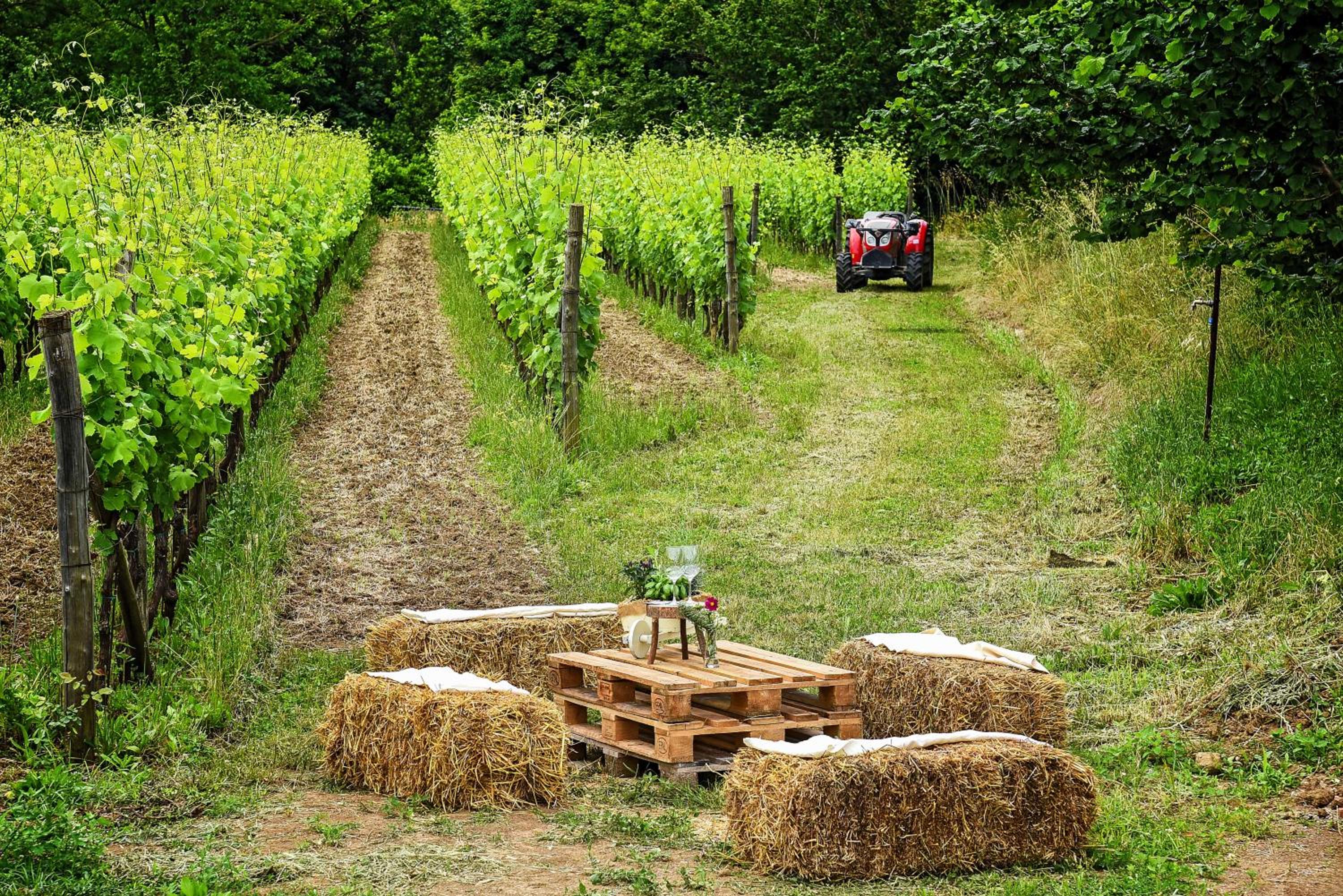 Agriturismo Guerritore