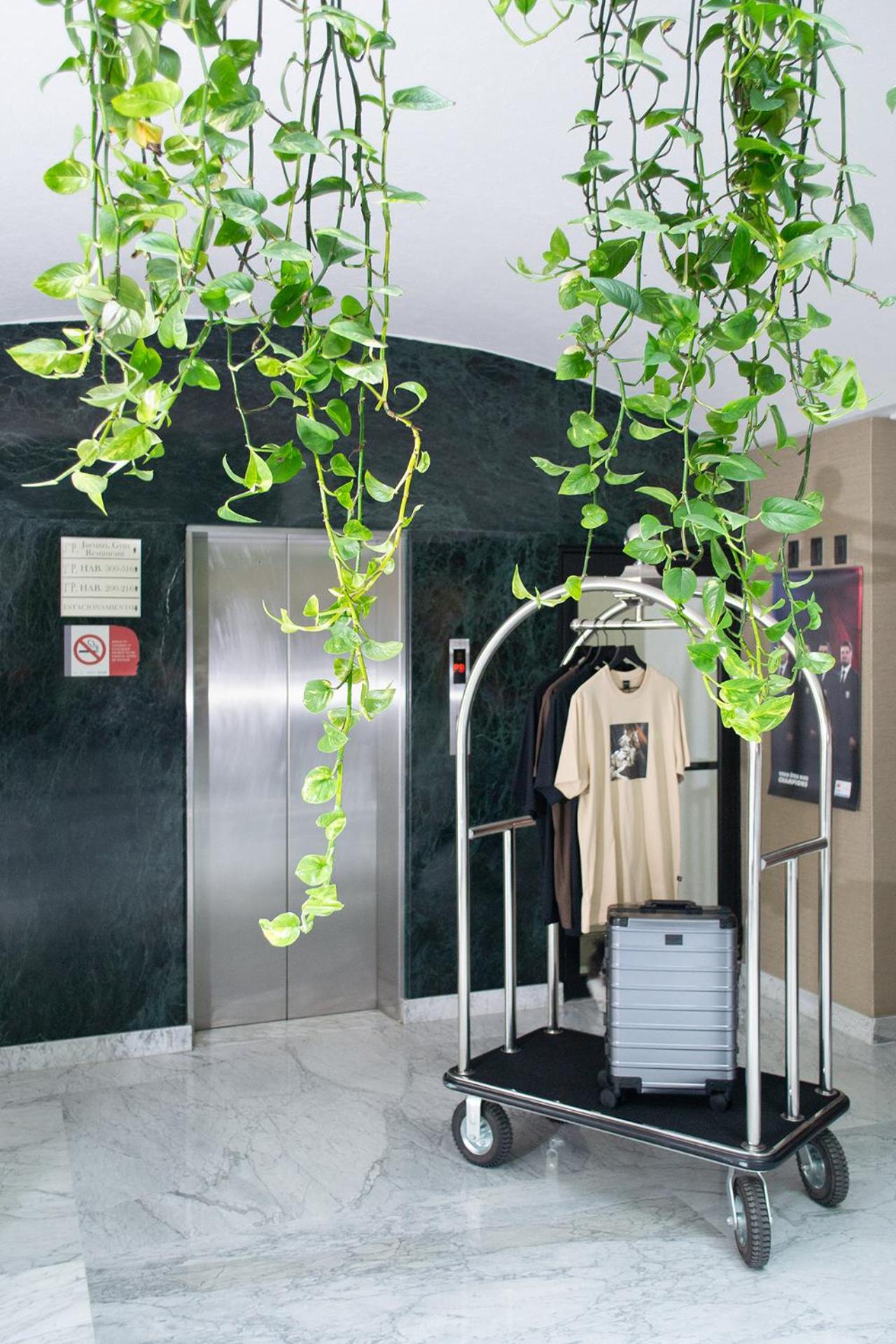 Lobby & Reception