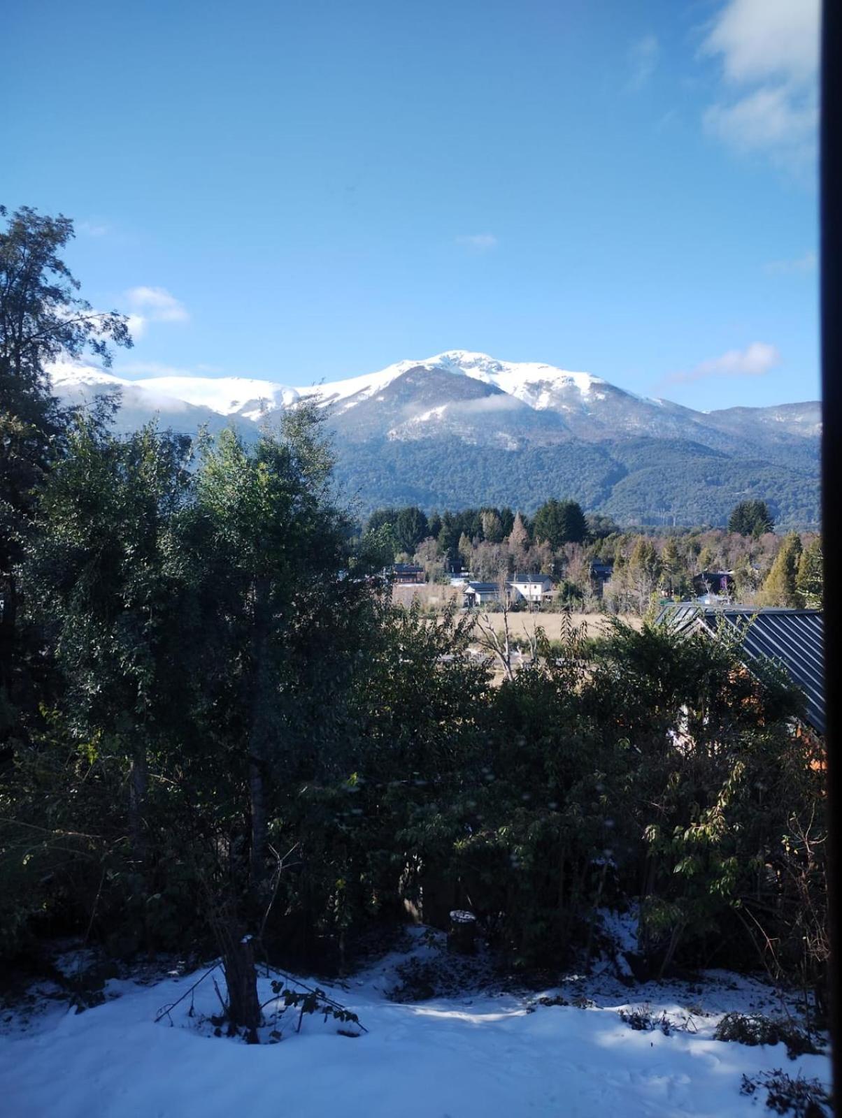 Paisaje Nativo