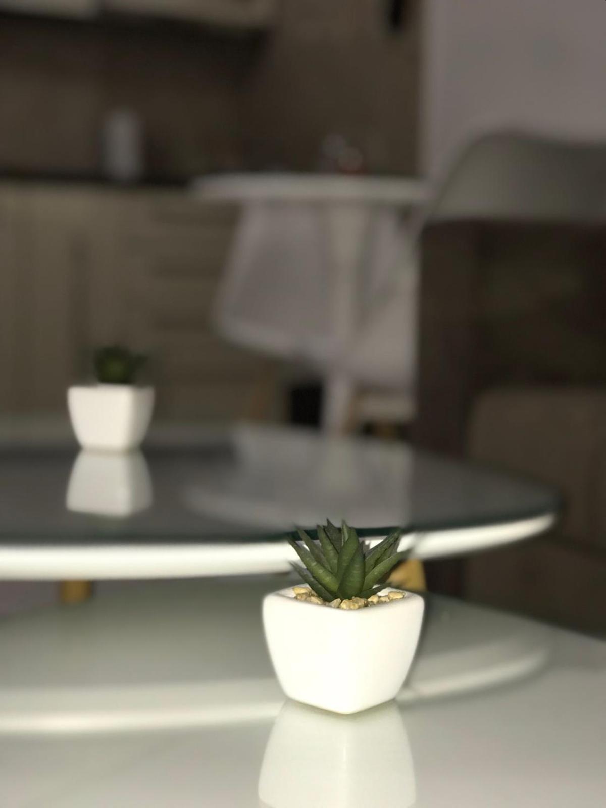 Apartman Savic 2