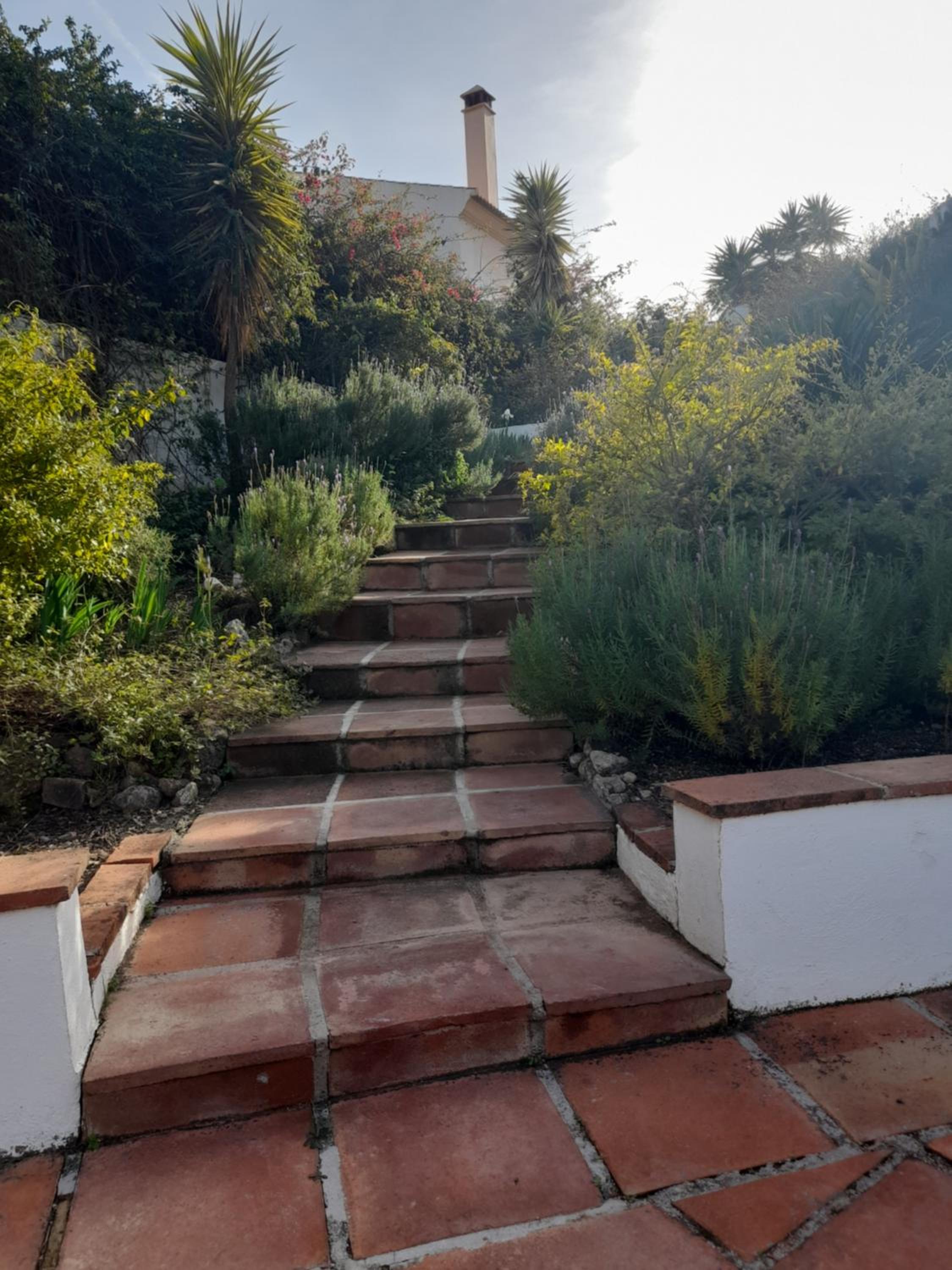 Casa Siempre Verde - Andalucia view 5