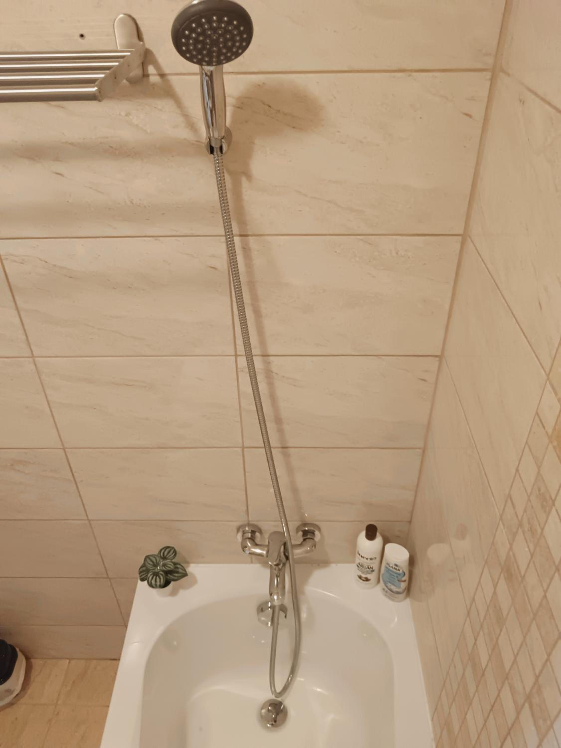 Tulipán Apartman