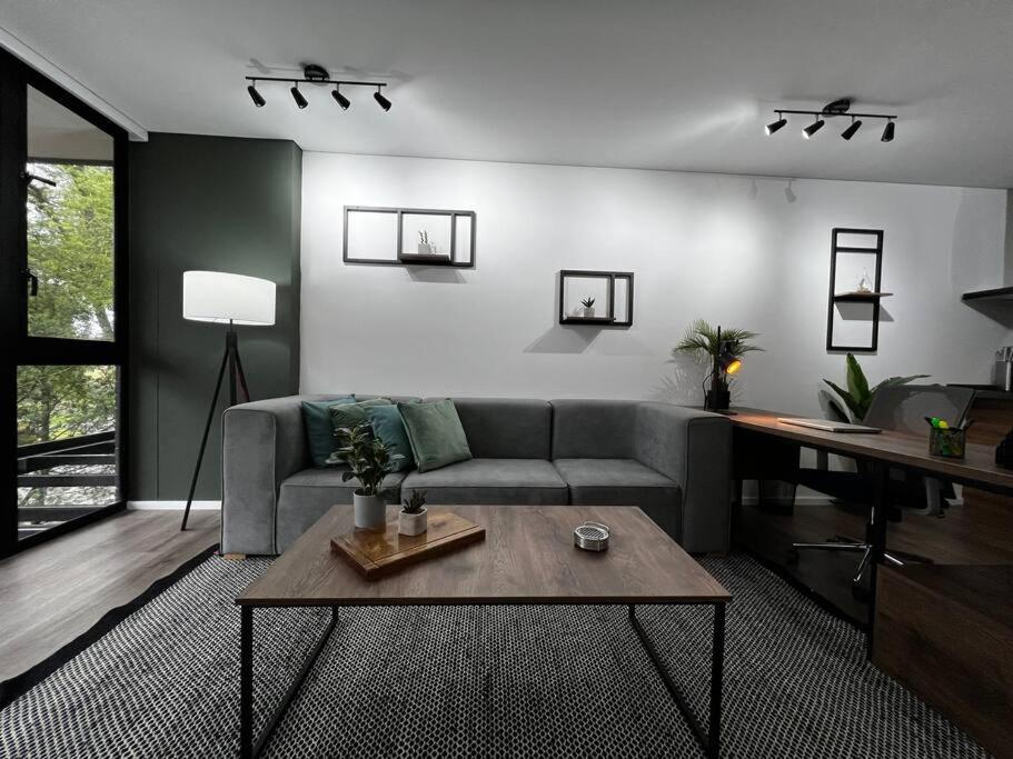 Outstanding and wide apartment with work station
