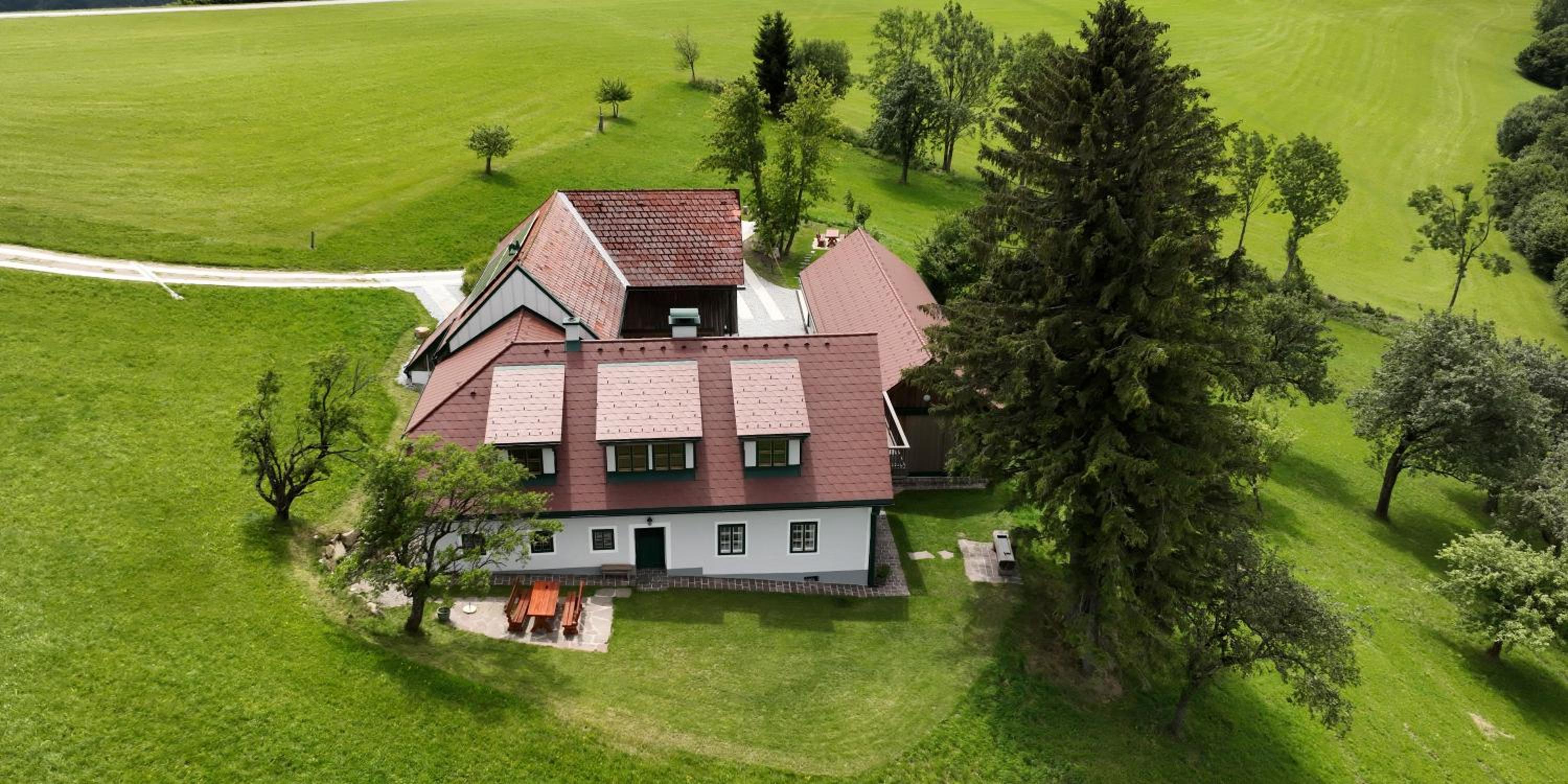 Stein im Holz view 2
