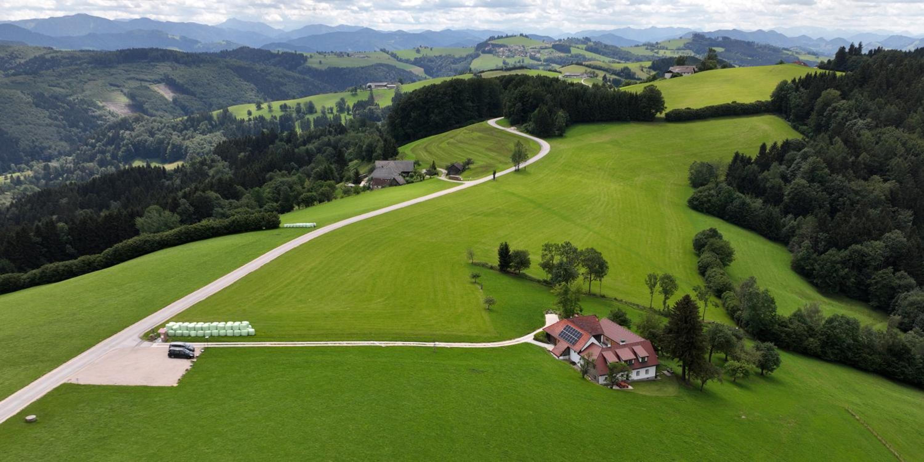 Stein im Holz view 3