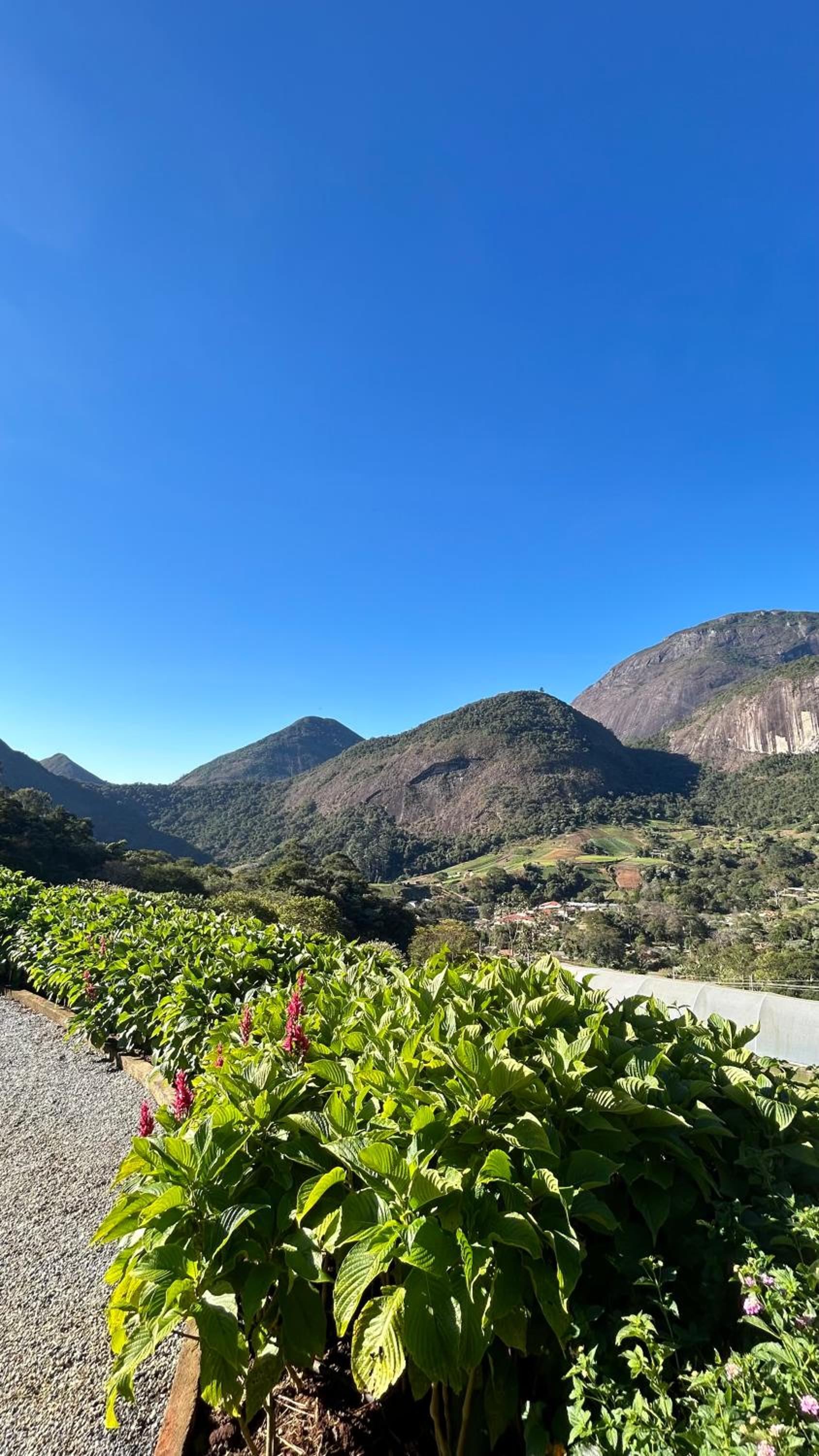 Villa Zarandi - Luxo e conforto que você procura!