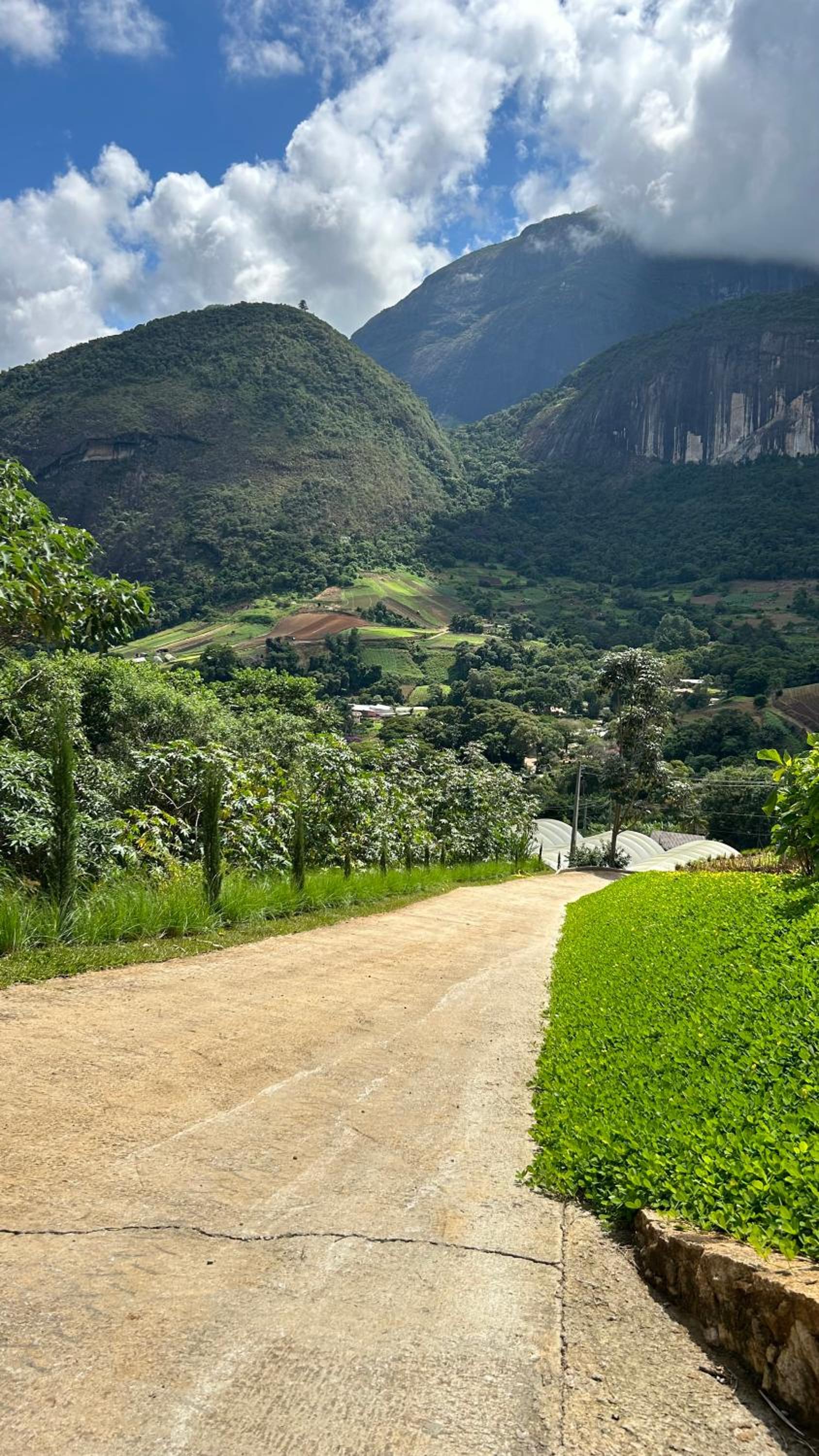 Villa Zarandi - Luxo e conforto que você procura!