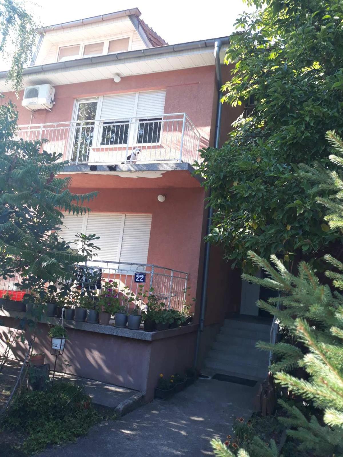 Apartmani Trifunović 2 view 5