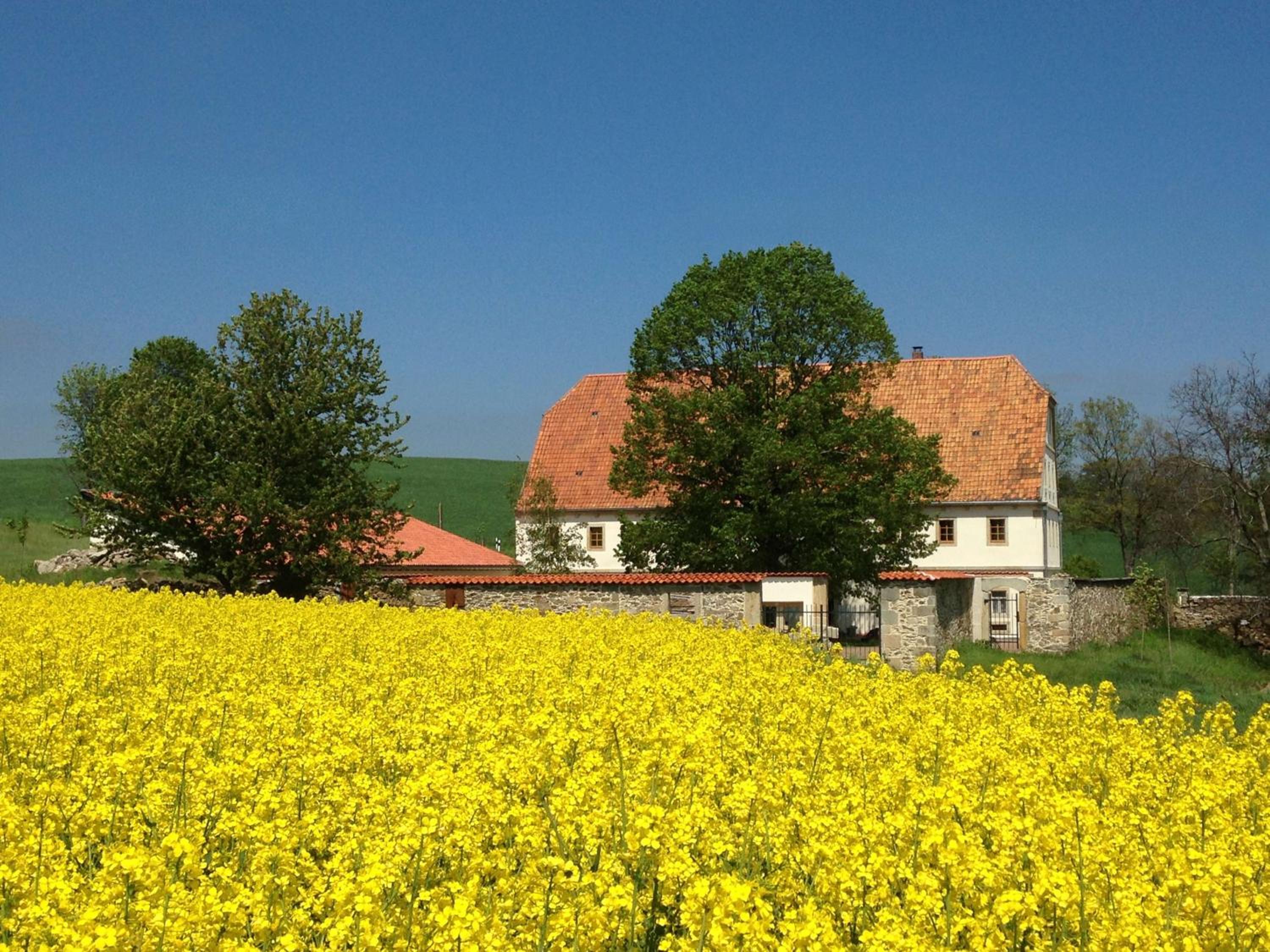 Lindenhof Michaelis - Urlaub auf dem historischen Gutshof