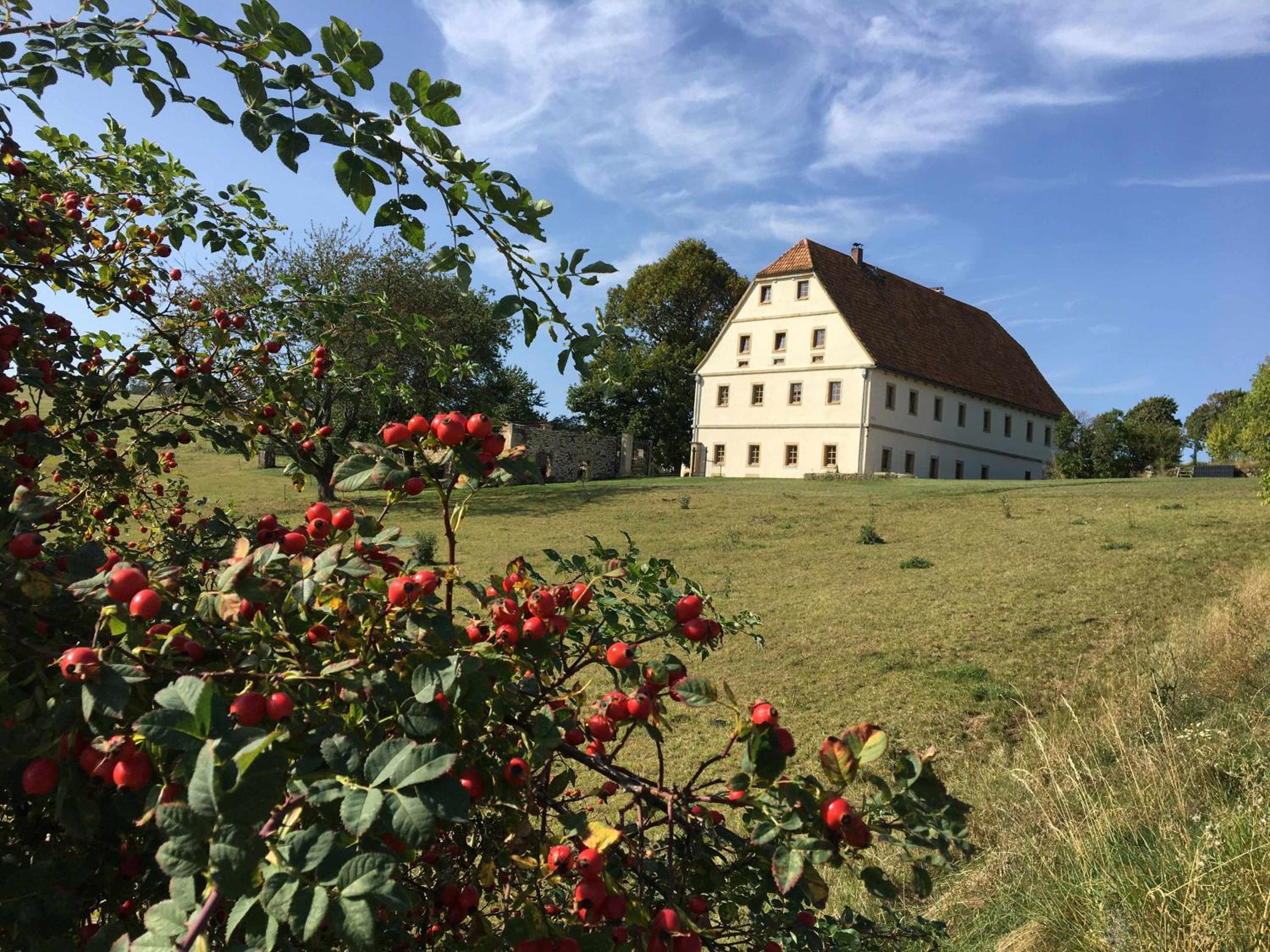 Lindenhof Michaelis - Urlaub auf dem historischen Gutshof