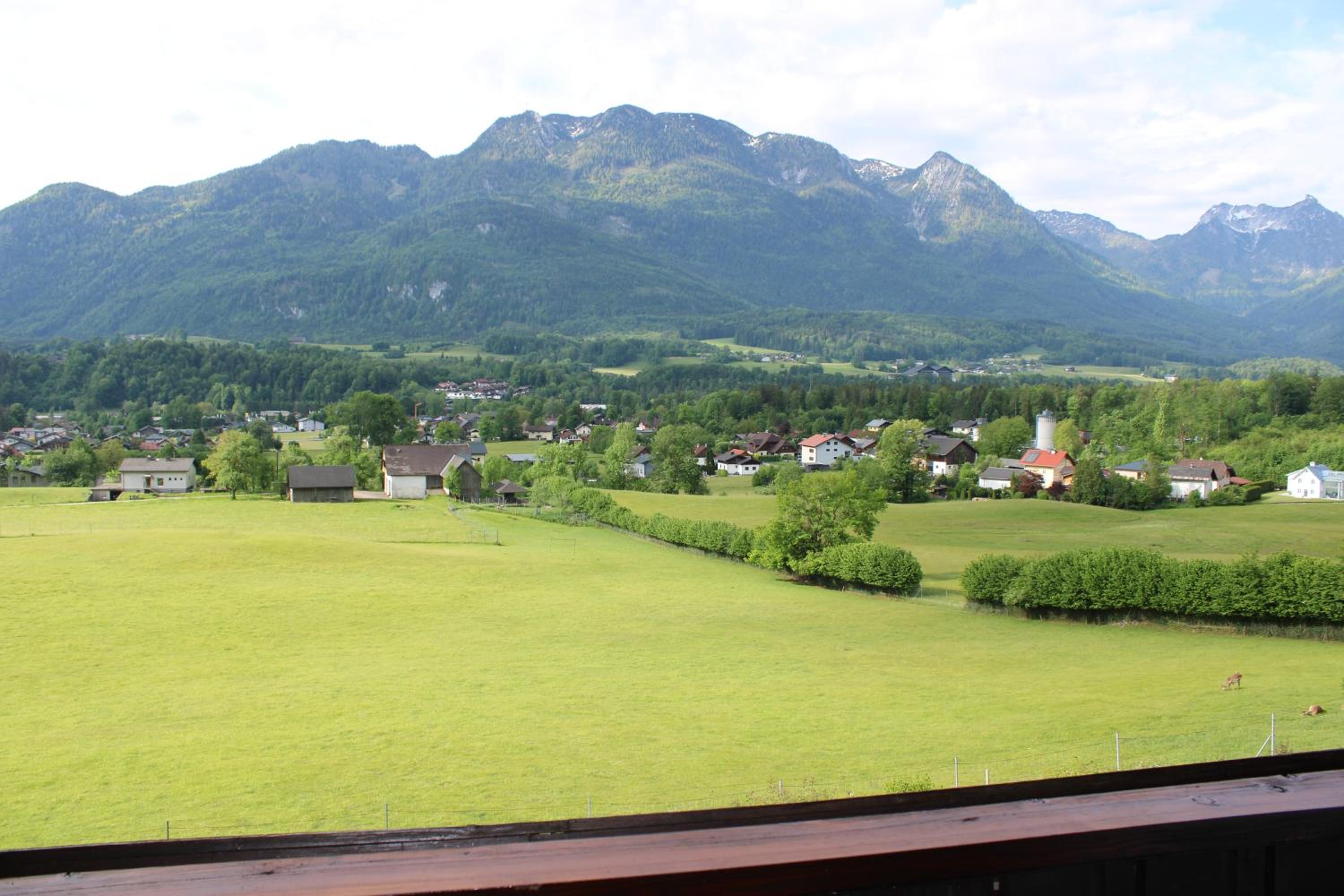 Apartment - Am Buchenhof