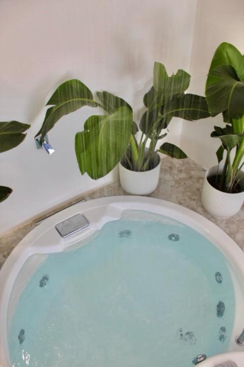 Cuore del Cilento Relais&Retreat - Nature&Relax