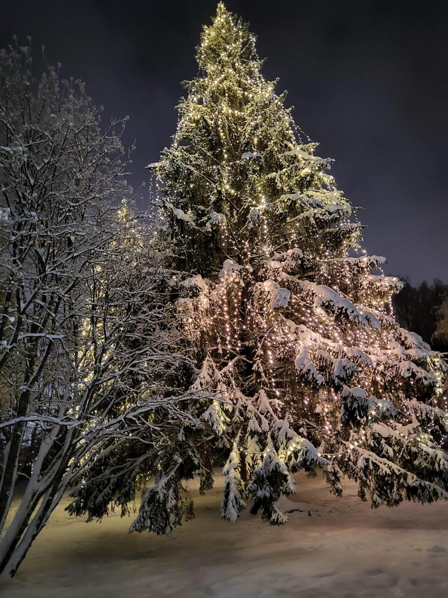 Cozy Arctic Heart