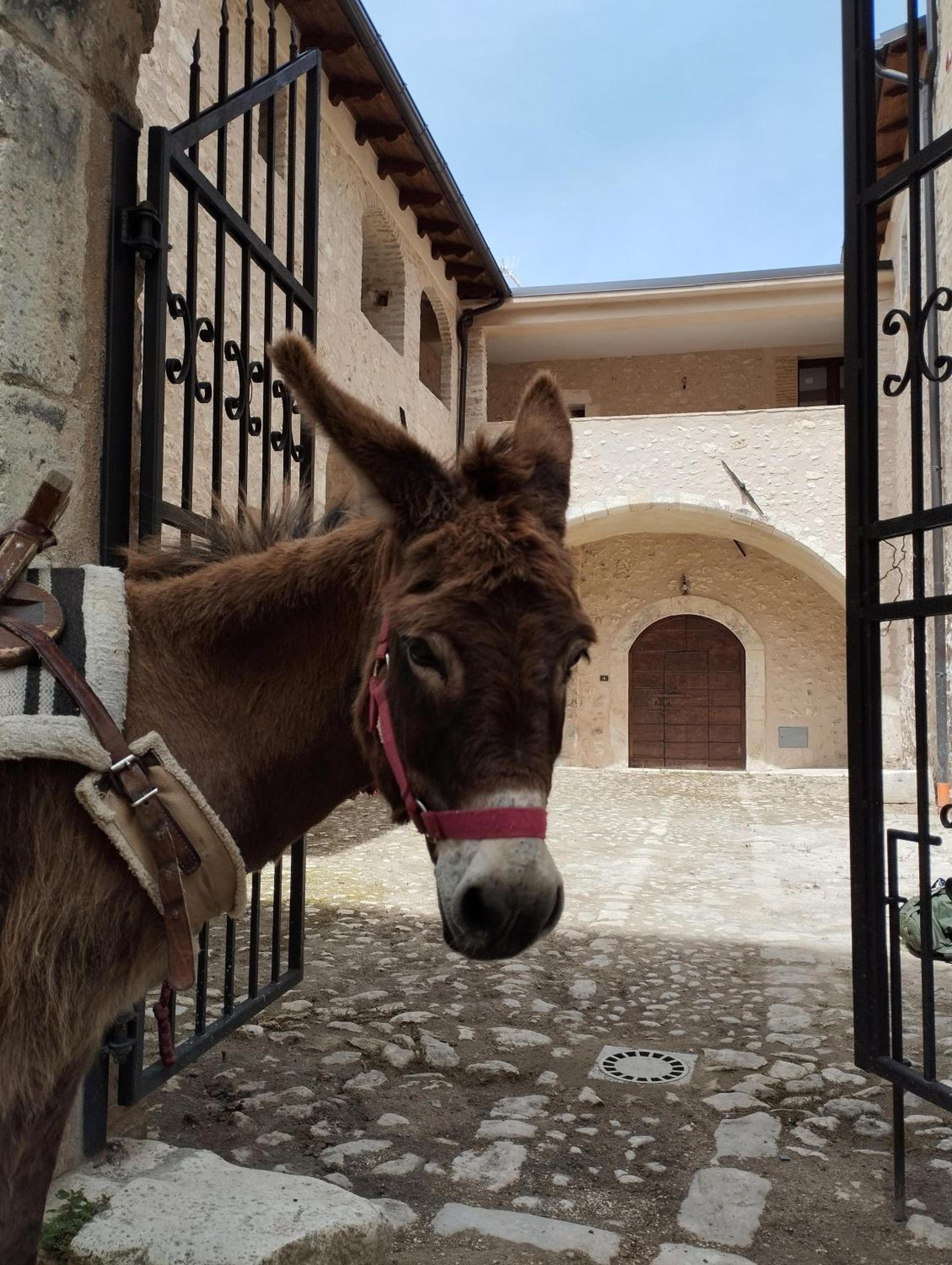 AbruzzoMio Alloggi Agrituristici