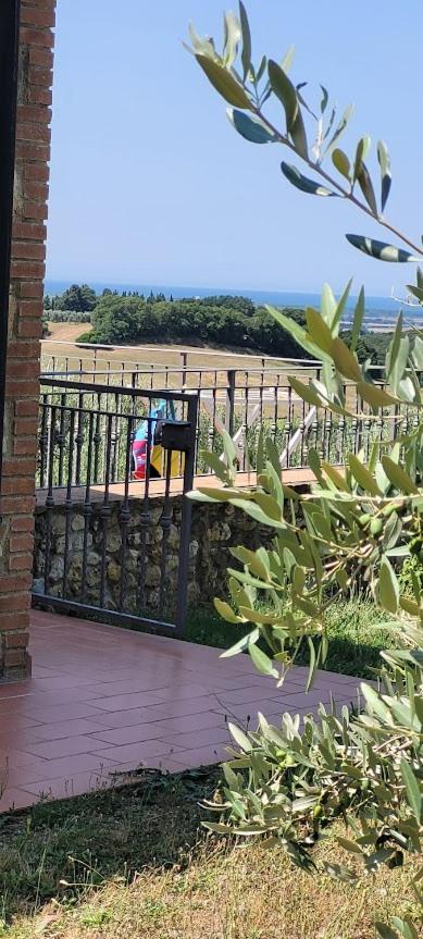 Agriturismo Il Poggio view 4