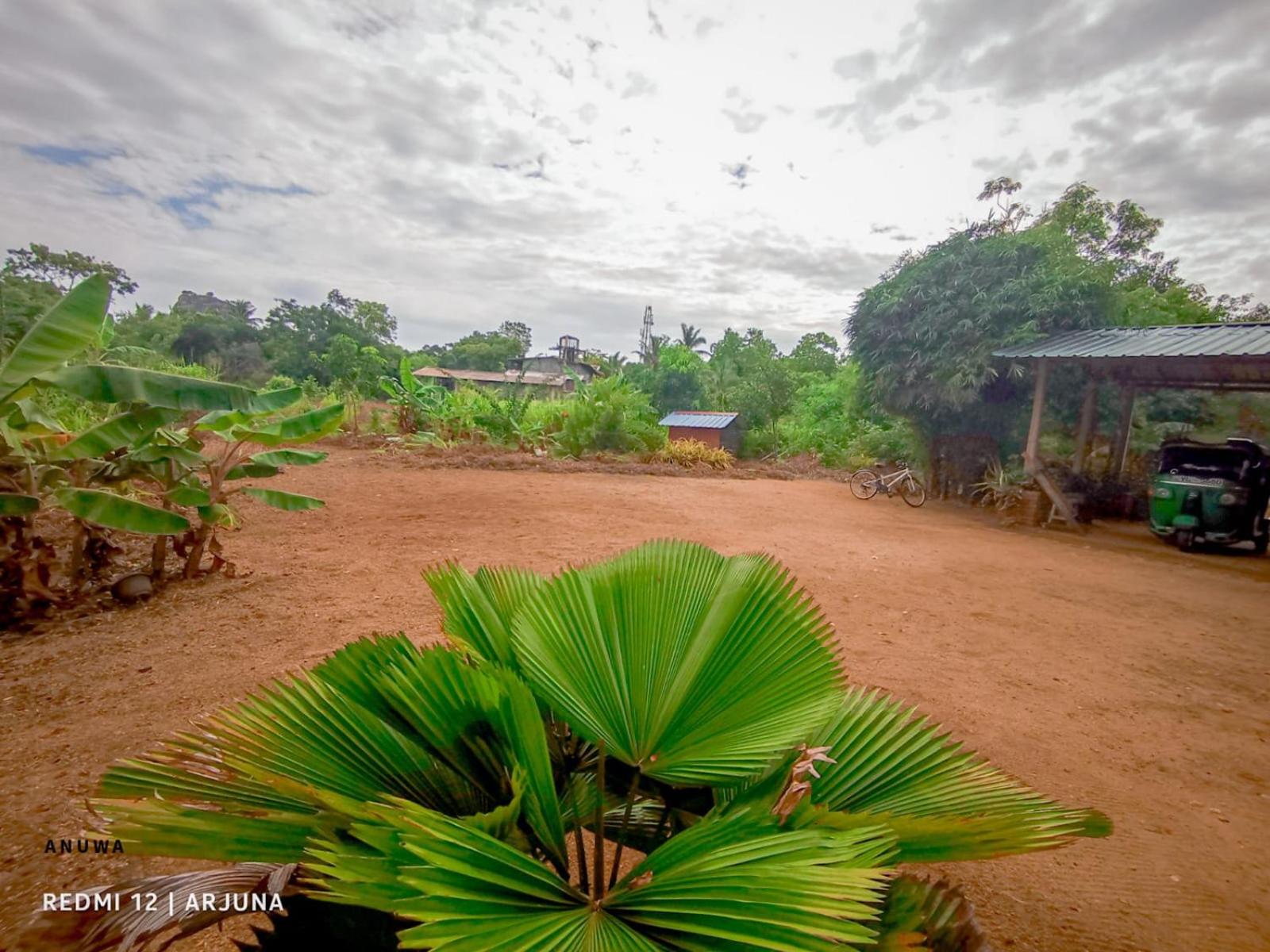 travels first Sigiriya hostel