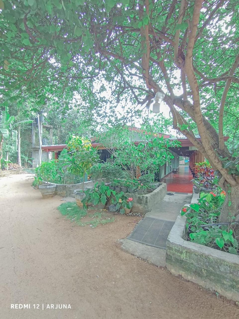 travels first Sigiriya hostel