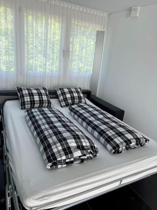 Schickes Appartement im Zentrum