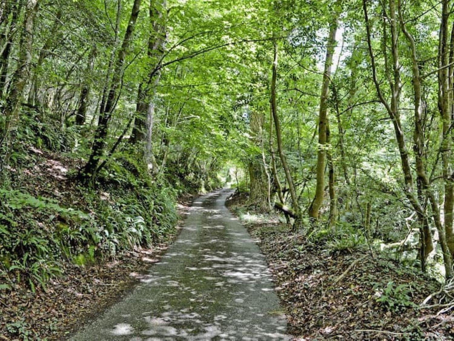 Nuthatch by Together Travel - Luxury Cornish Countryside Retreat