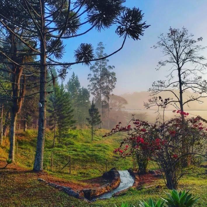 Fazenda Kidauana - Mendes