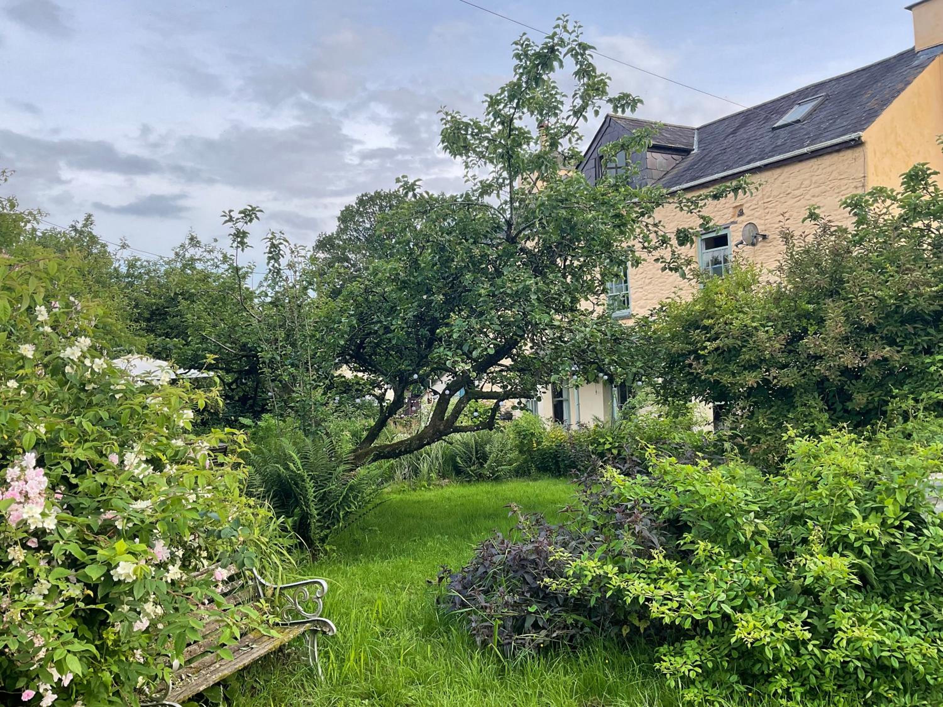 Ynyswen Bed & Breakfast view 2