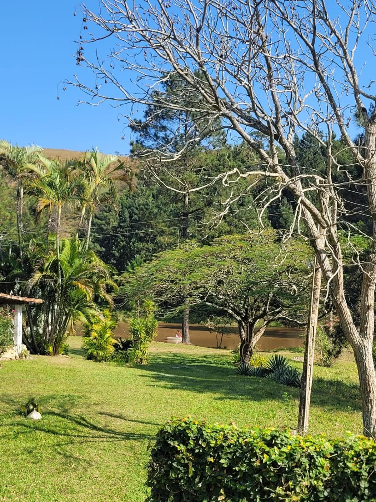 Fazenda Kidauana - Mendes