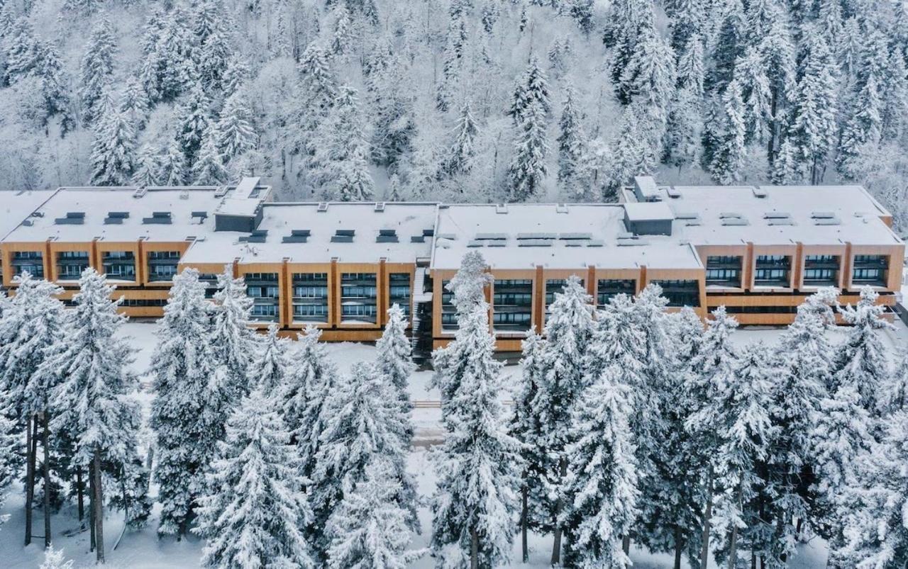 Mitarbi Ski Apartment