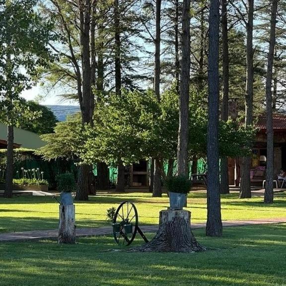 Cabañas Viejo Vivero