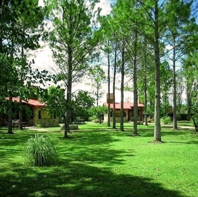 Cabañas Viejo Vivero