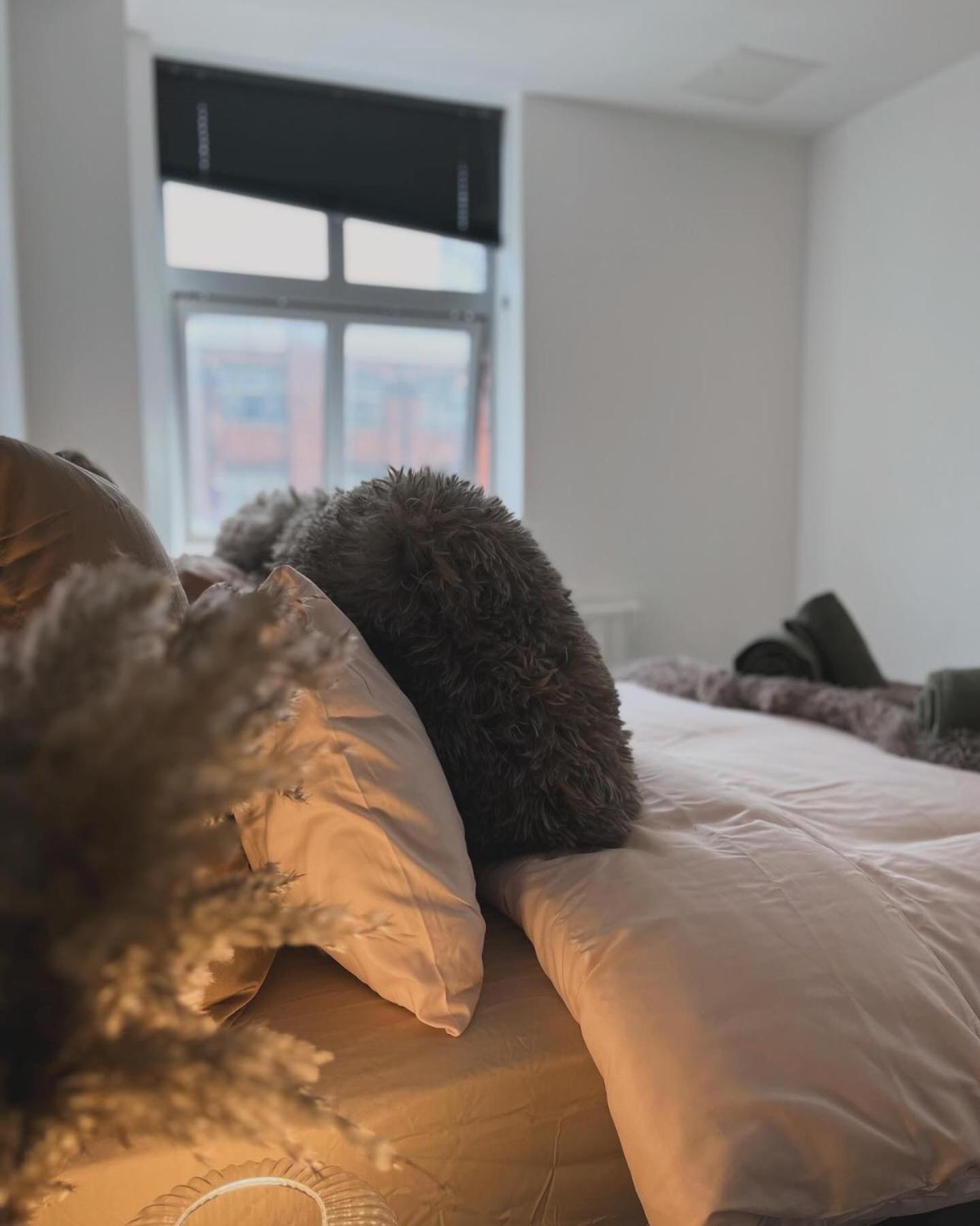 Stylish Groovy Central King Suite - Fast WiFi, Free Gym Access, Work Desk view 3