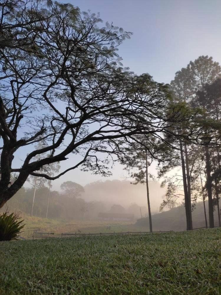 Fazenda Kidauana - Mendes