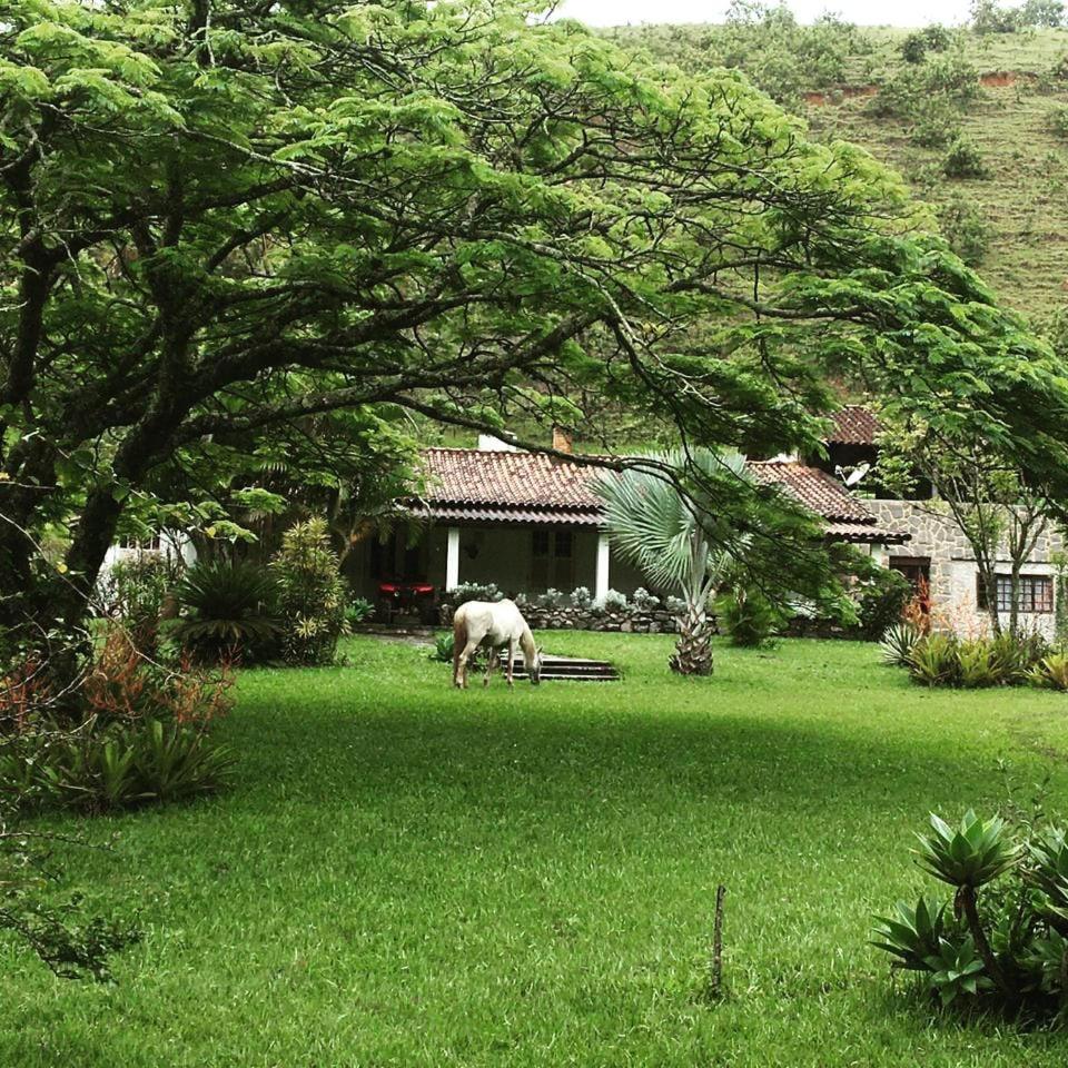 Fazenda Kidauana - Mendes