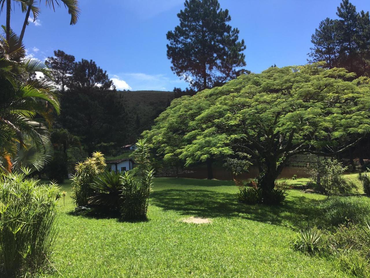 Fazenda Kidauana - Mendes