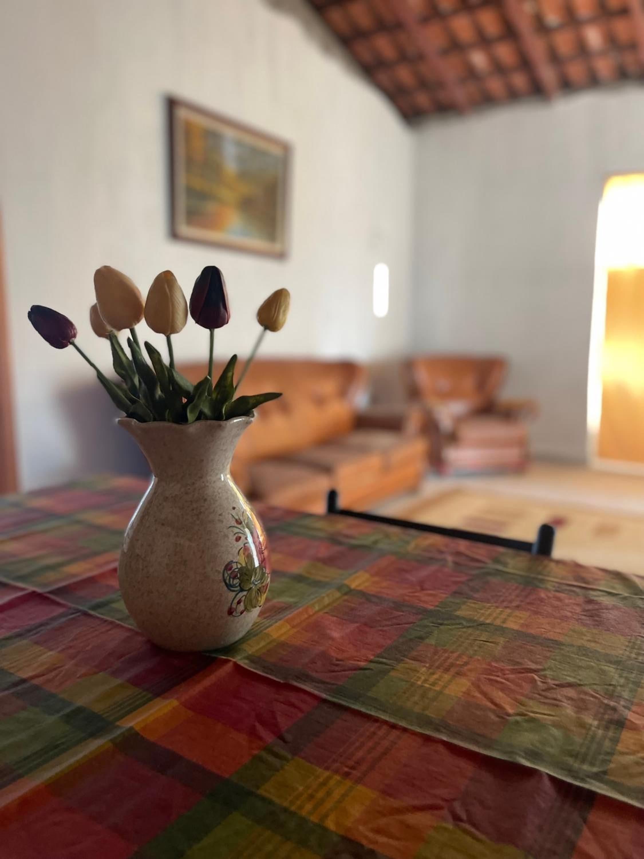 Guest House by Roni