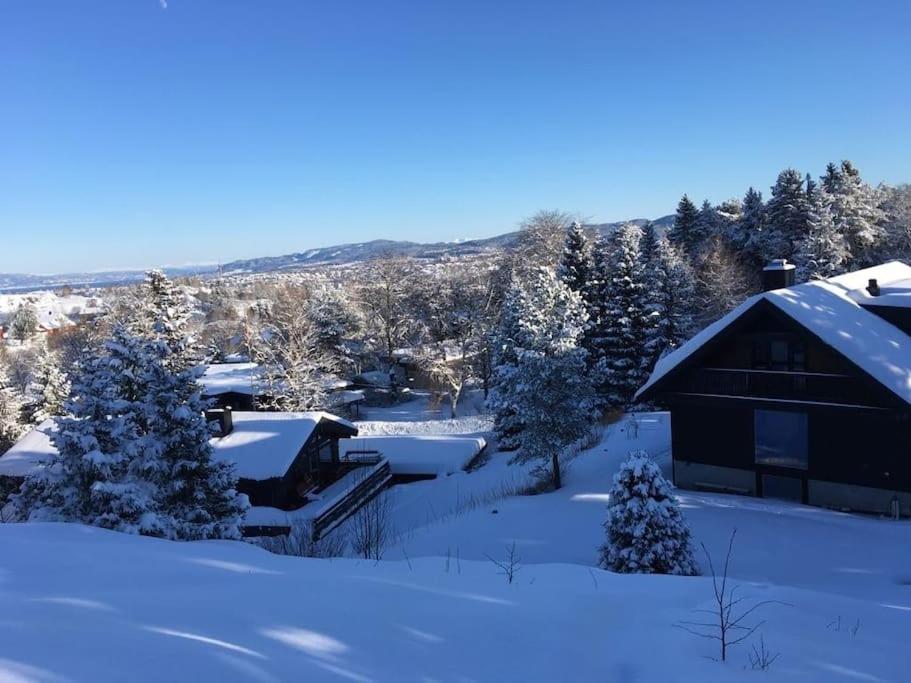 Villa suitable for 8 during XC championship view 4