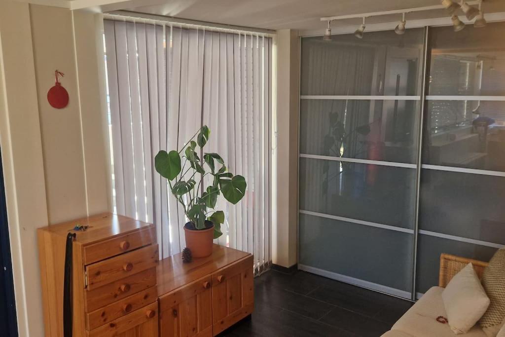 Villa suitable for 8 during XC championship view 5