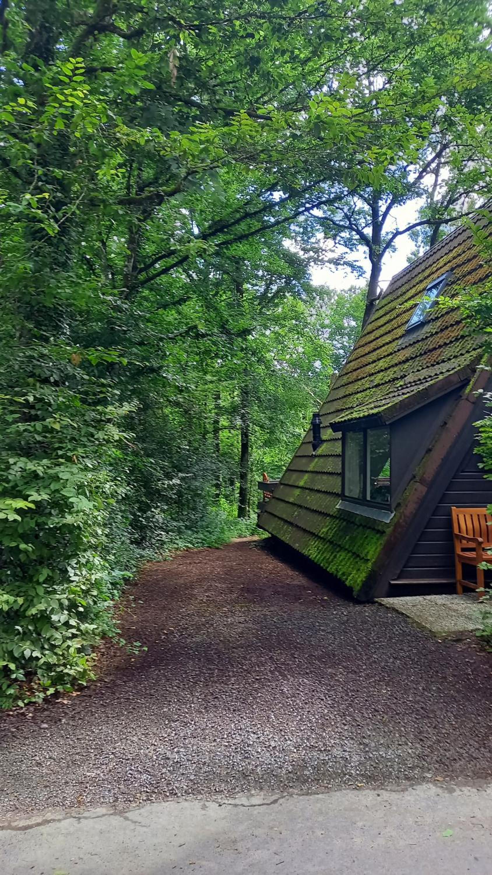 Maison Tronchiennes