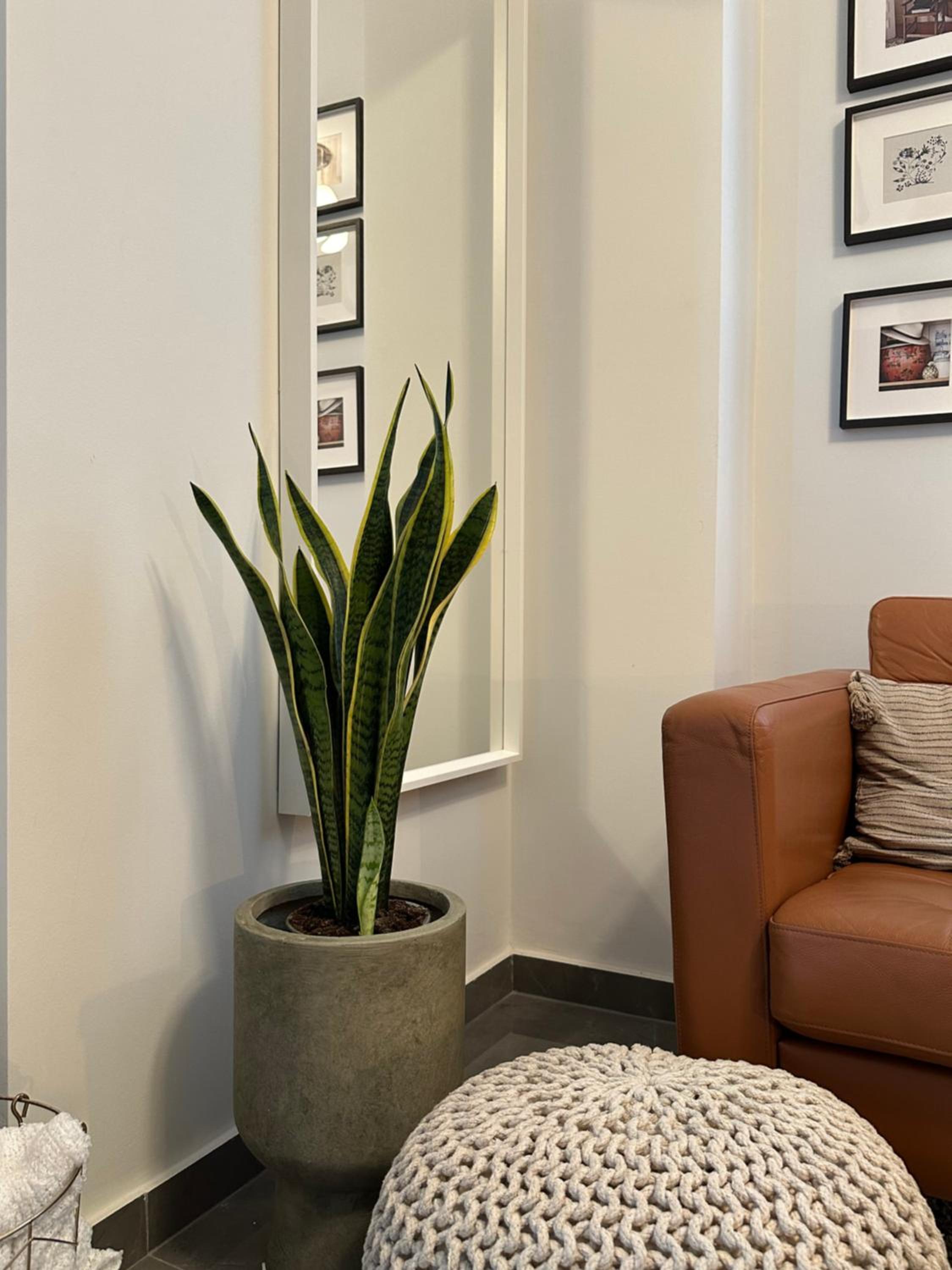 Orpheas Athens Comfy Apartment