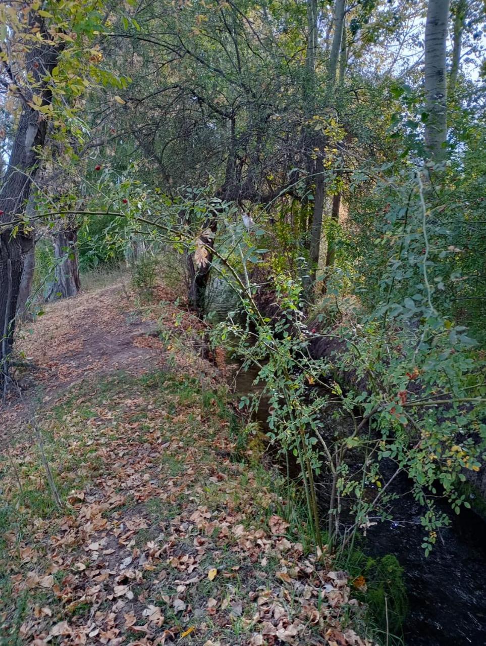 Cortaderas de La Villa
