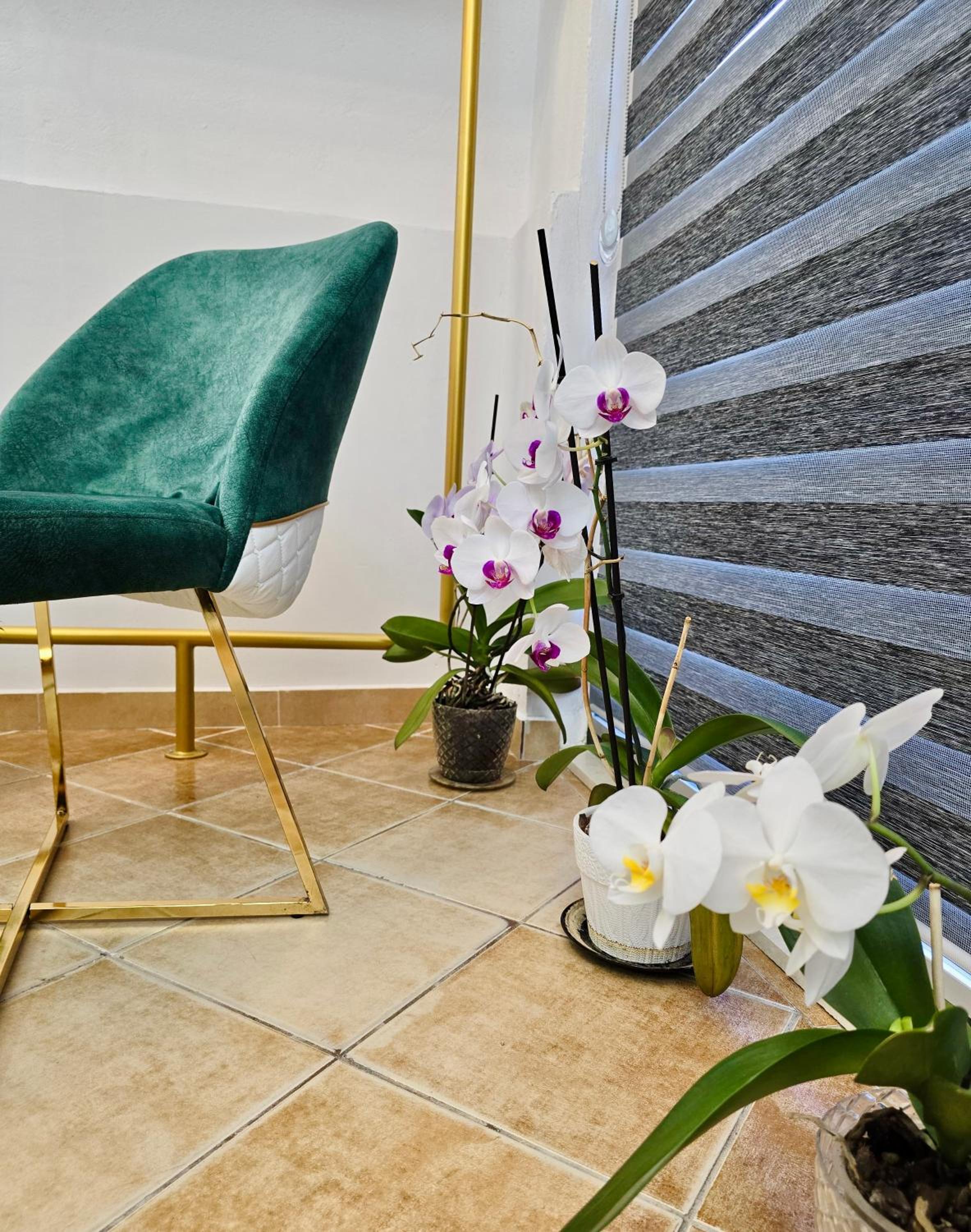 Anina Guesthouse