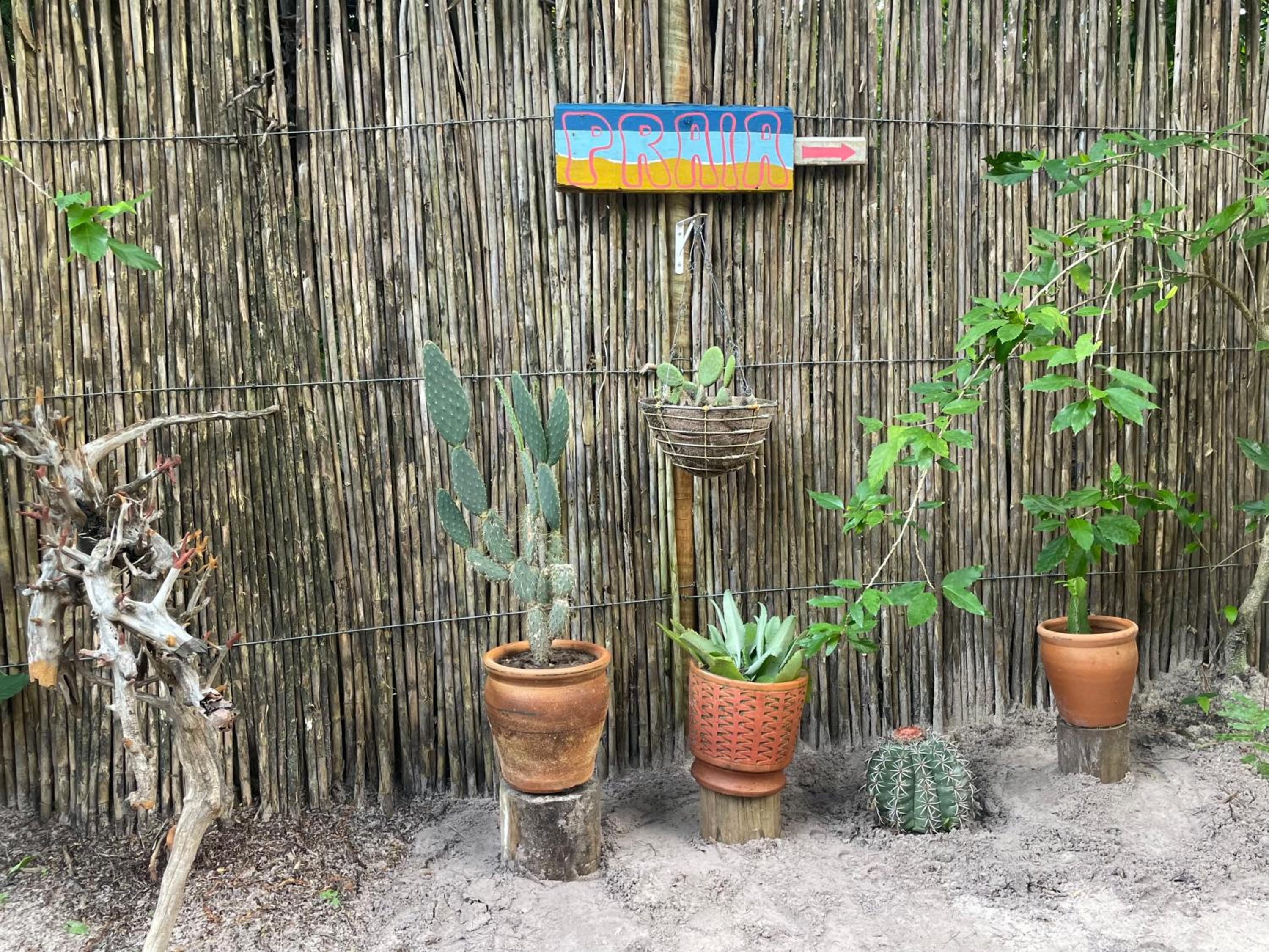 Vila Pitanga - Arandis