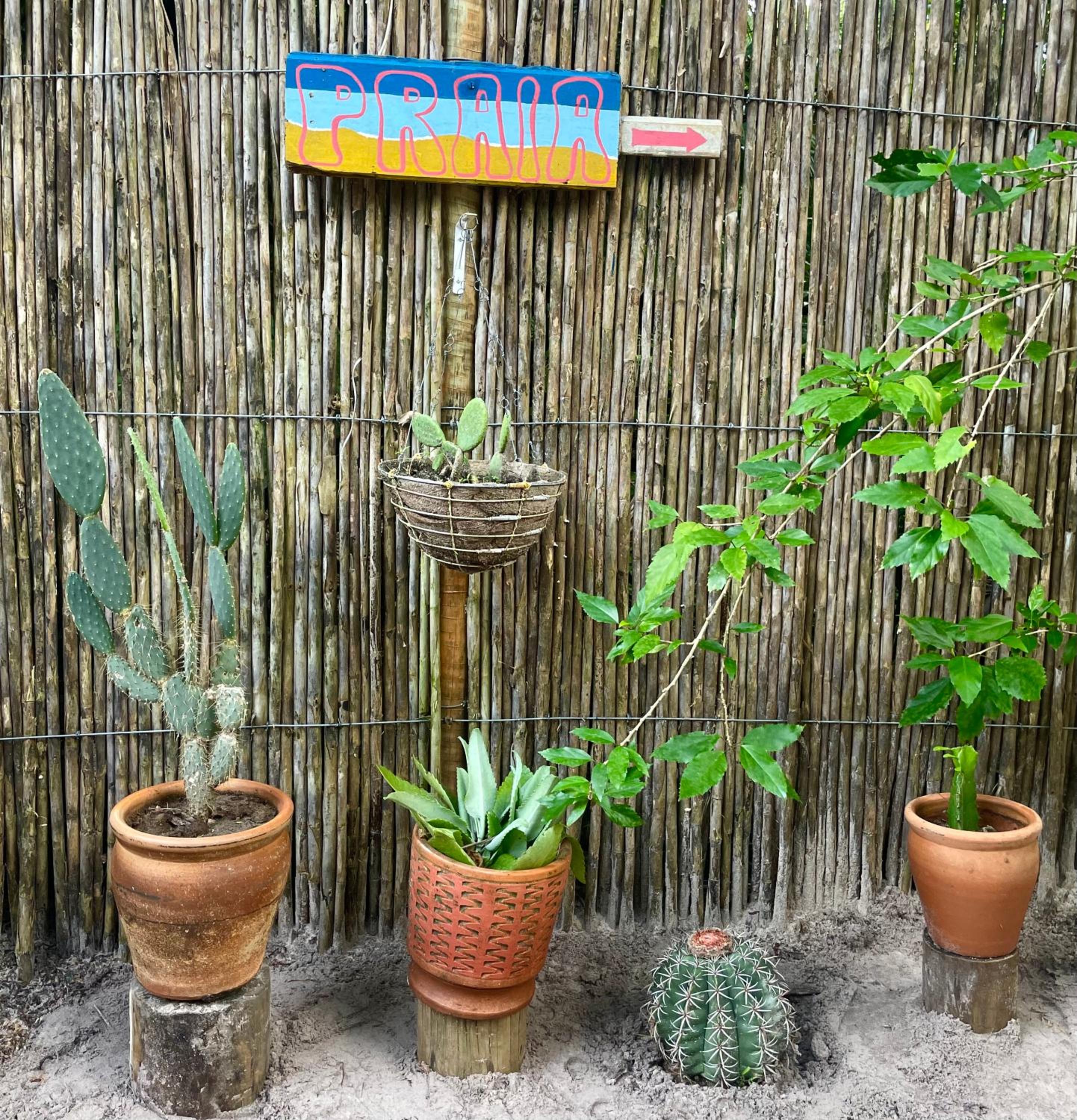 Vila Pitanga - Arandis