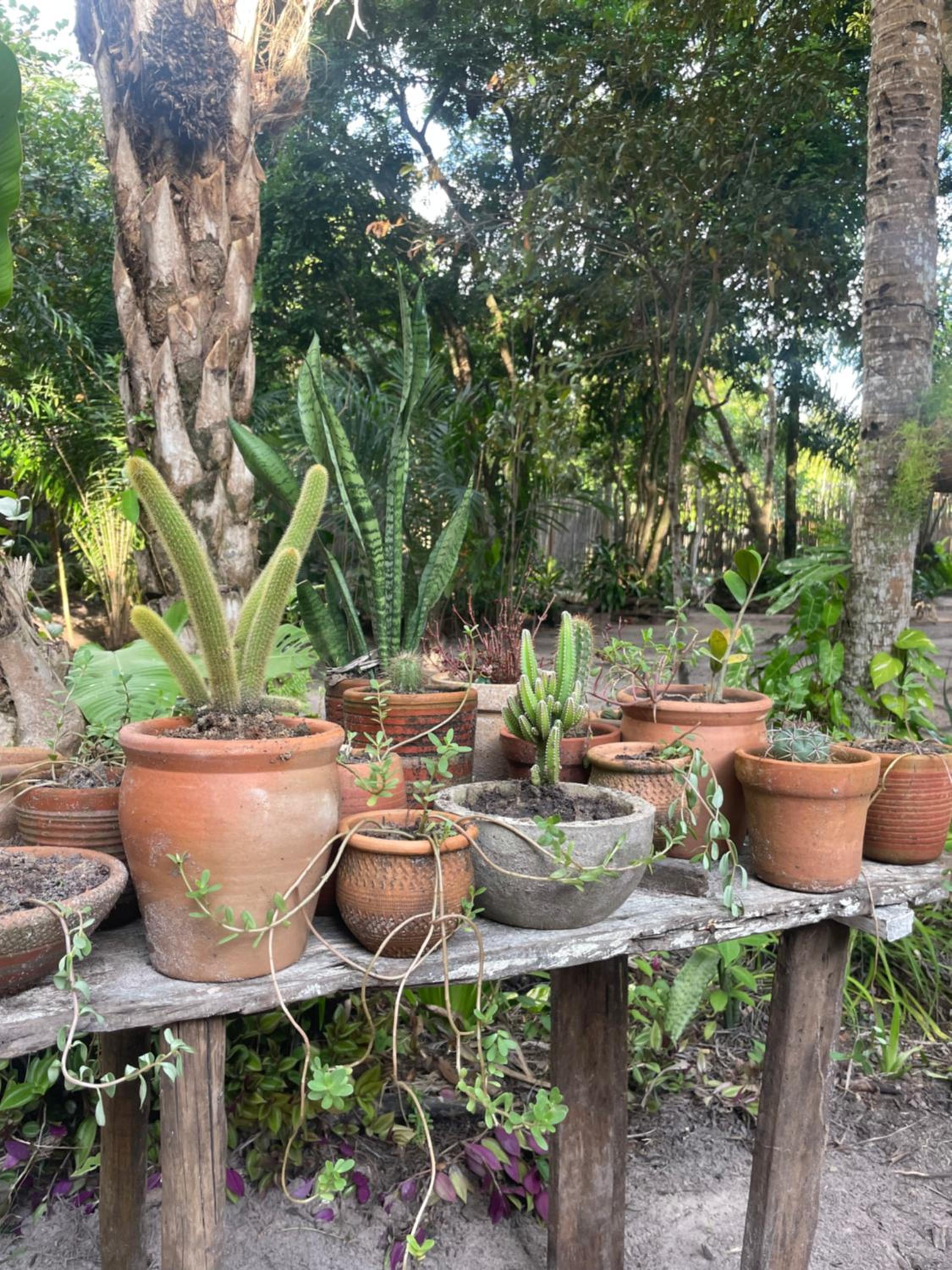 Vila Pitanga - Arandis