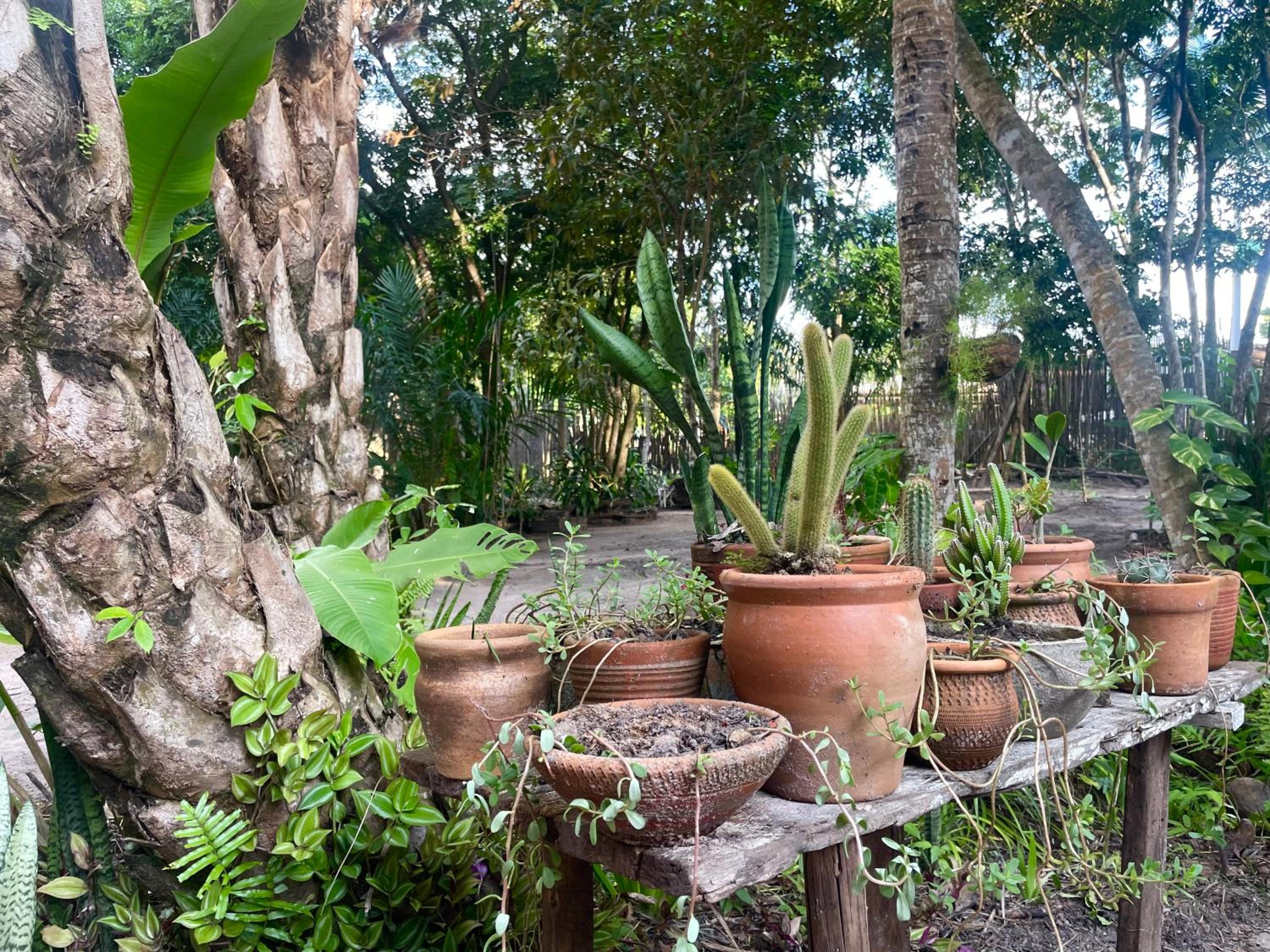 Vila Pitanga - Arandis