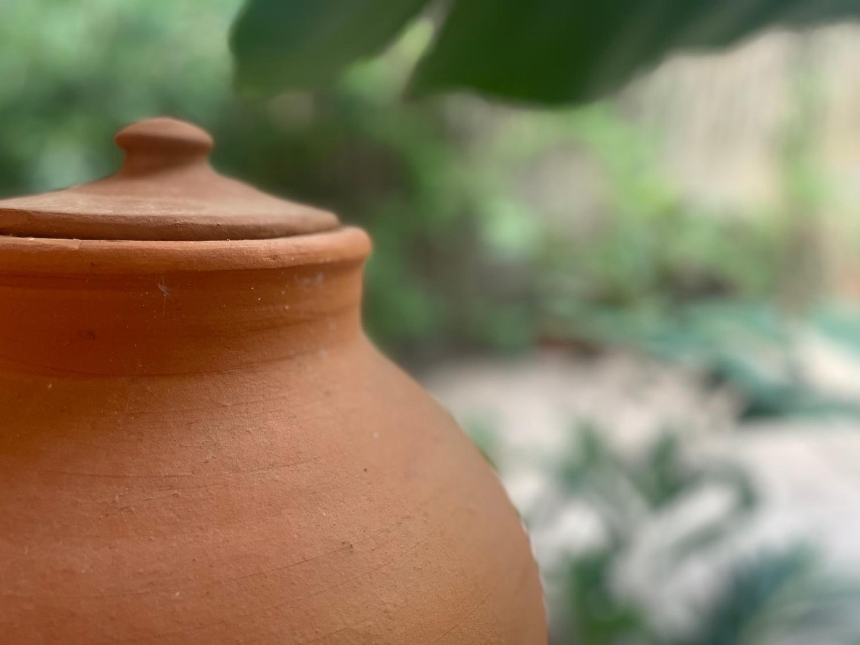 Vila Pitanga - Arandis